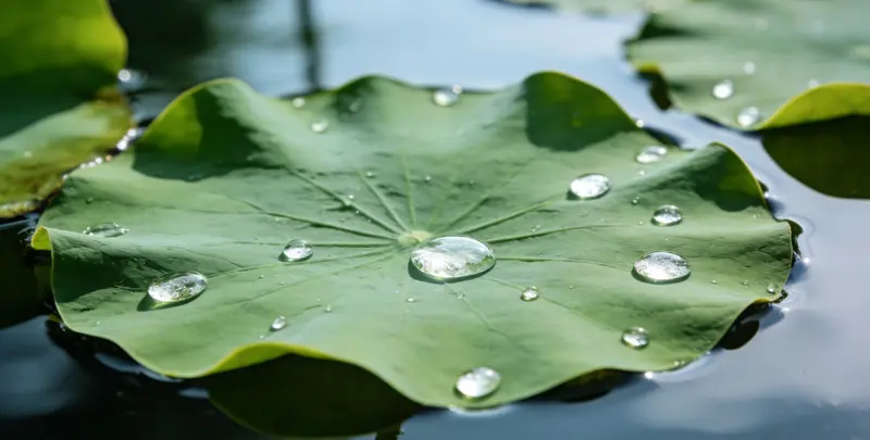 湖州乳腺癌21基因mRNA表达分析图片1